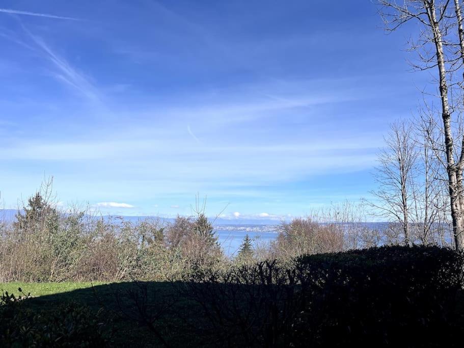 Lugrin Proche Du Lac Et Montagne מראה חיצוני תמונה
