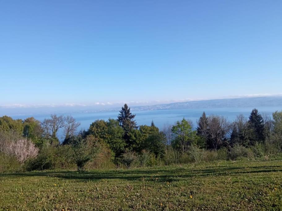 Lugrin Proche Du Lac Et Montagne מראה חיצוני תמונה